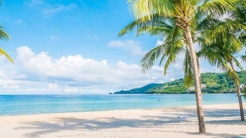 As melhores praias da Bahia: um roteiro de sol, mar e relaxamento